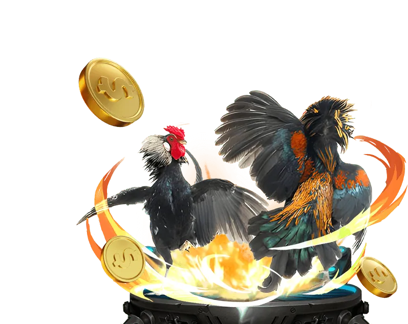 Chương trình VIP độc quyền của 13 win